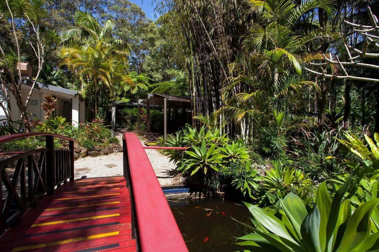 Songbirds Rainforest Retreat Mount Tamborine Australien